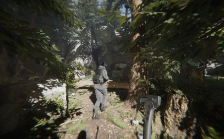 Sons of The Forrest: Essential Things You Must Know Before Play