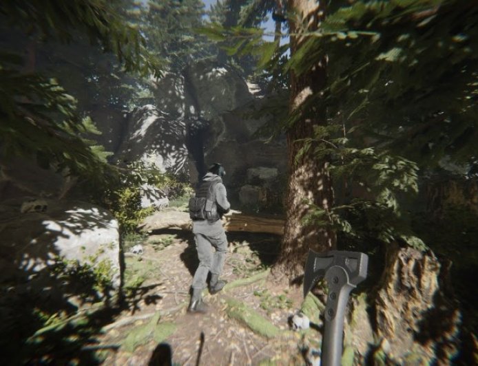 Hal Penting yang Harus Diketahui Sebelum Bermain Sons of The Forrest