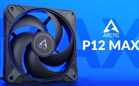 Fan Case Budget King: Arctic P12 Max