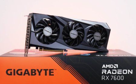 Best Budget GPU Choice in 2024