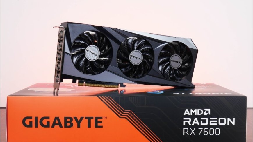 Best Budget GPU Choice in 2024