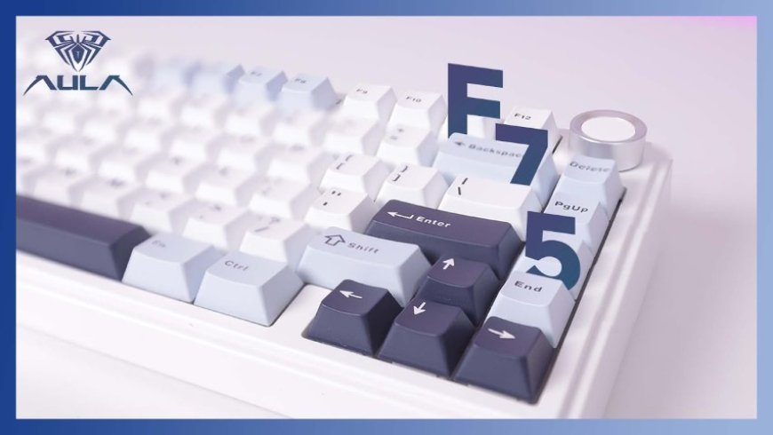 Aula F75 Mechanical Keyboard, Worth to Buy?