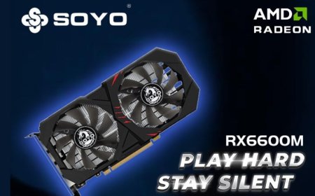 2024 Budget King Graphics Card: RX 6600M